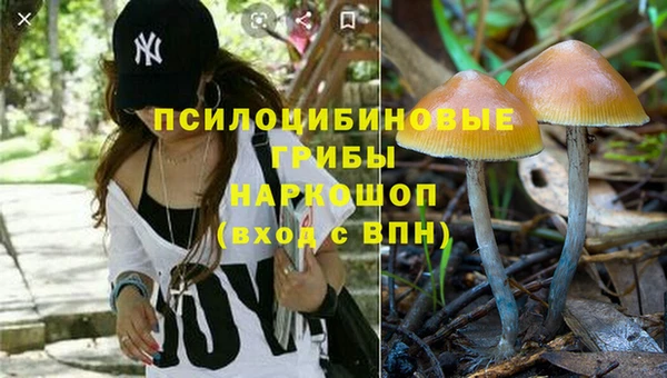 ешки Абдулино