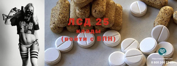 прущий лед Алзамай
