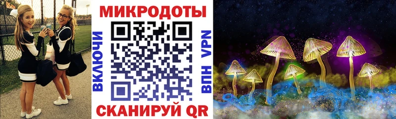 наркотики Приволжский Галлюциногенные грибы Cubensis